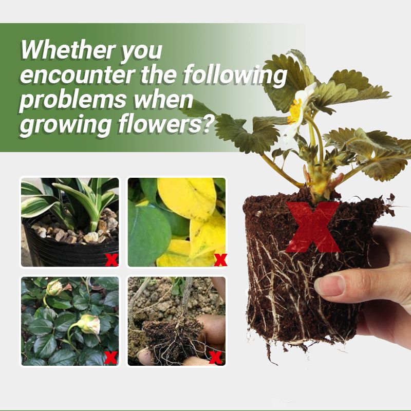 【🎁Mother's Day Gift】Special Bone Meal Organic Fertilizer - Promote The Growth of Flowers and Fruits