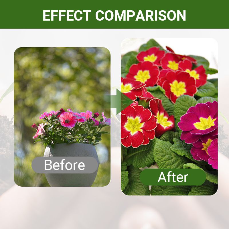 【🎁Mother's Day Gift】Special Bone Meal Organic Fertilizer - Promote The Growth of Flowers and Fruits