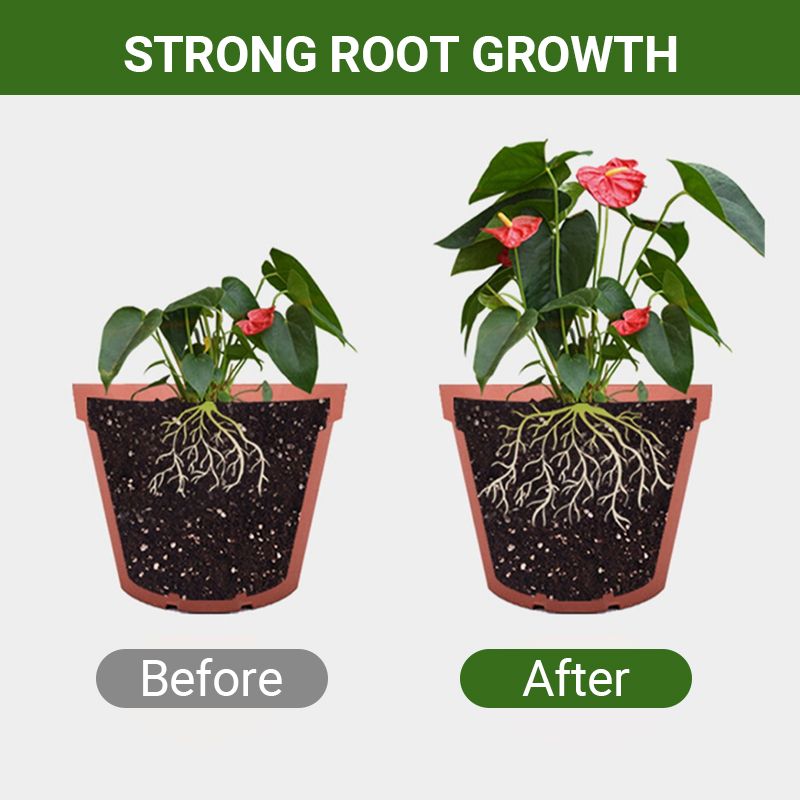 【🎁Mother's Day Gift】Special Bone Meal Organic Fertilizer - Promote The Growth of Flowers and Fruits