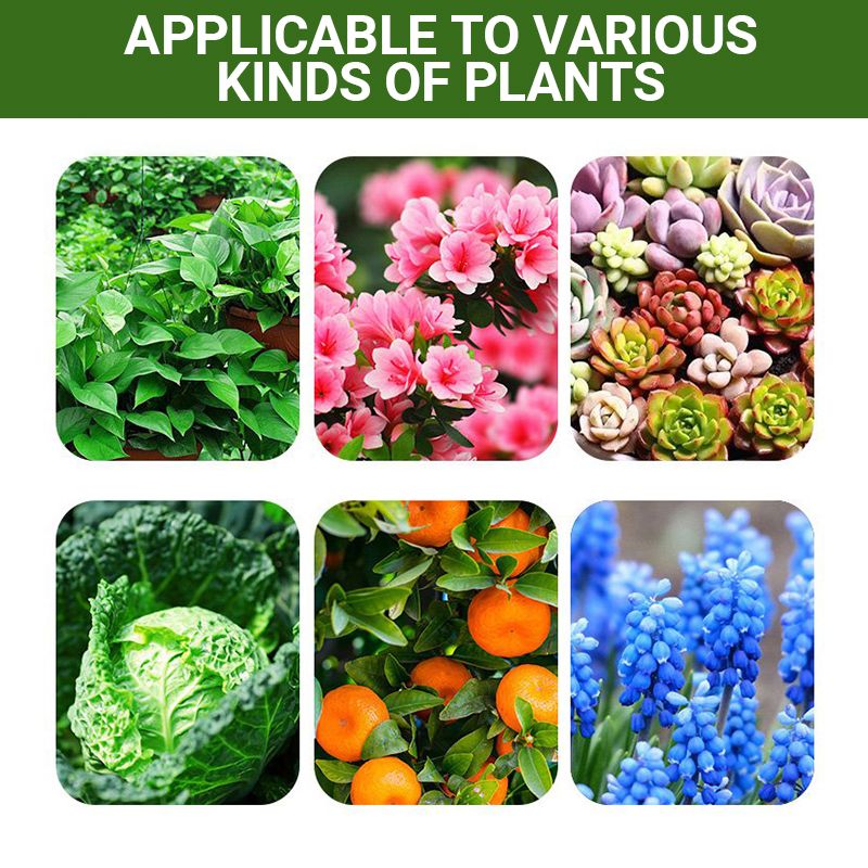 【🎁Mother's Day Gift】Special Bone Meal Organic Fertilizer - Promote The Growth of Flowers and Fruits