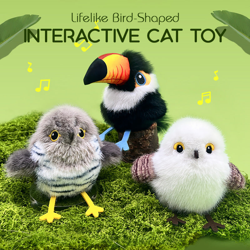 🎁🐱Lifelike Bird-Shaped Interactive Cat Toy
