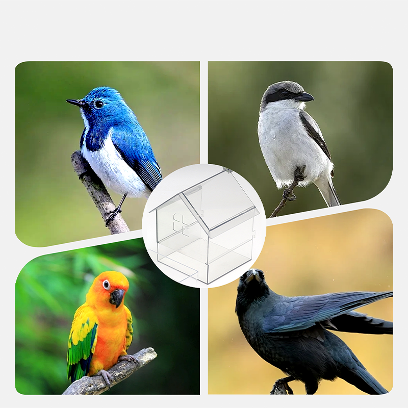 ๐Pull-Out External Parrot Feeder