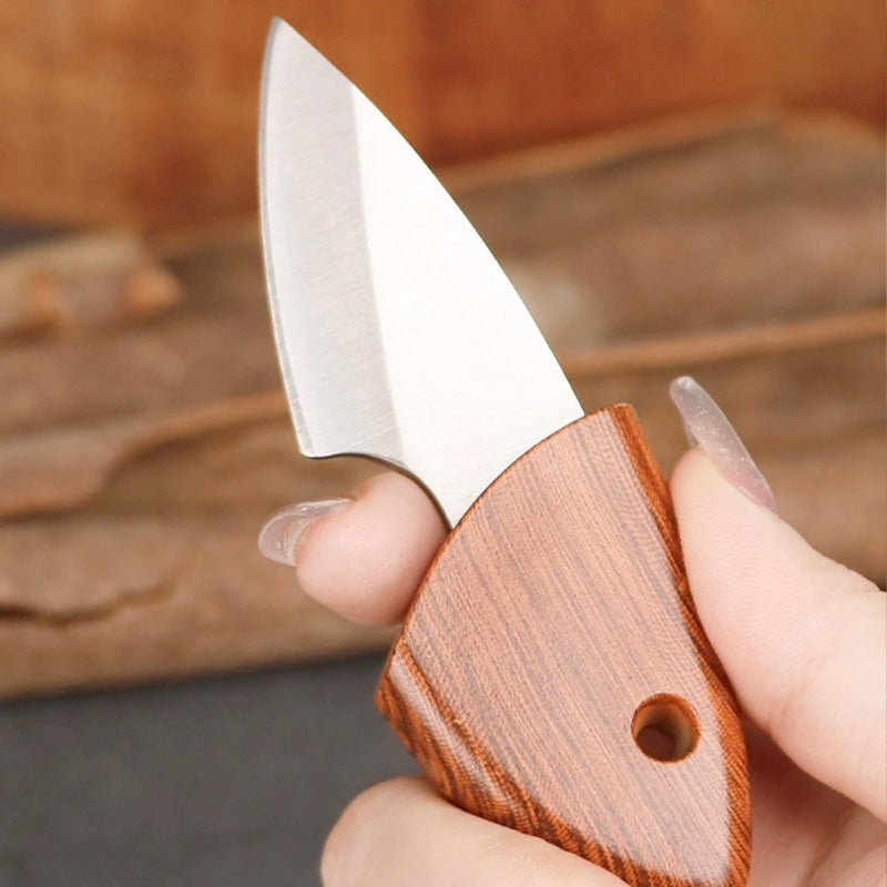 Mini Folding Knife for Outdoors – Sharp and Versatile for Meat and Fruit