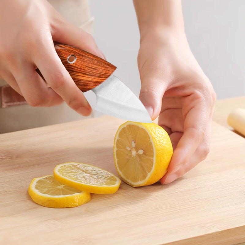 Mini Folding Knife for Outdoors – Sharp and Versatile for Meat and Fruit