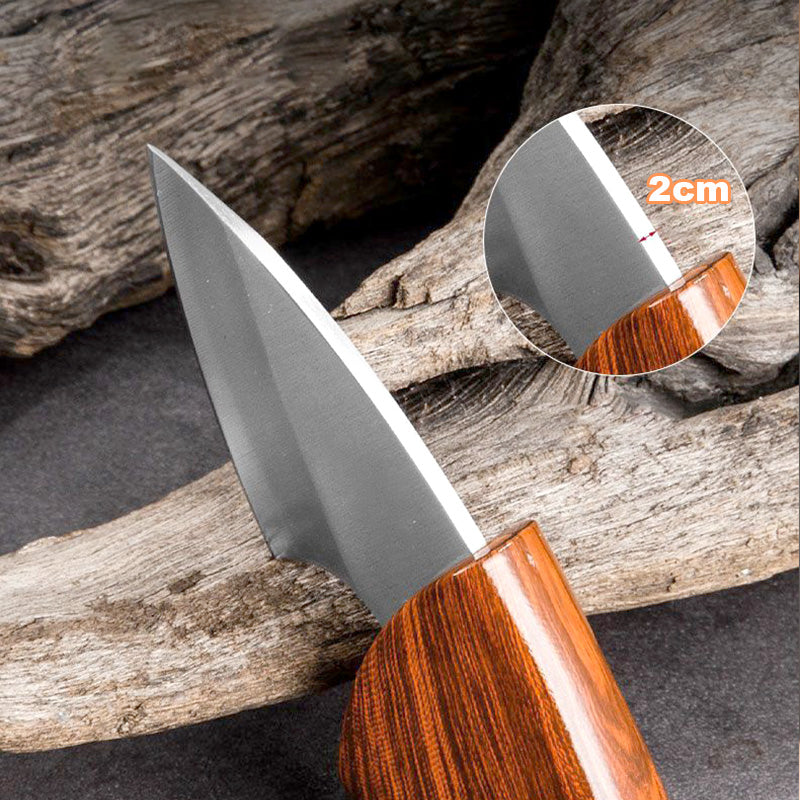 Mini Folding Knife for Outdoors – Sharp and Versatile for Meat and Fruit