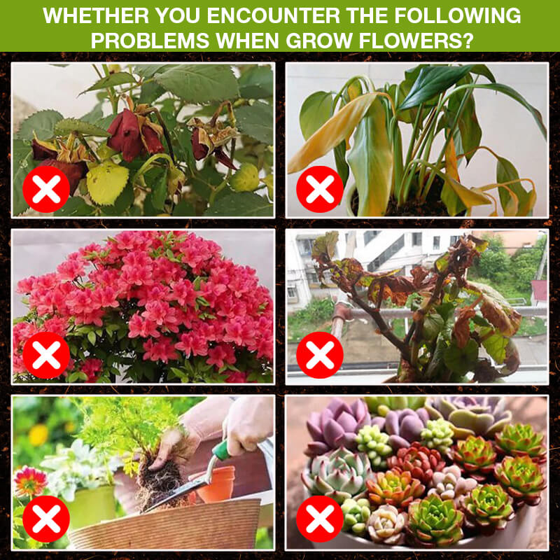 【🎁Mother's Day Gift】Plant Growth Promoters Supplements Energizers