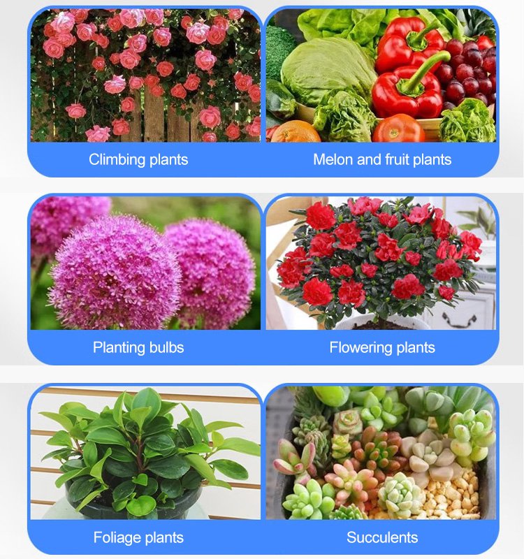 Professional nutrient solution for flowering potted plants