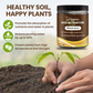 🔥 Soil Improvement Loosening Agent