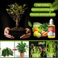 【🎁Mother's Day Gift】Plant Growth Promoters Supplements Energizers