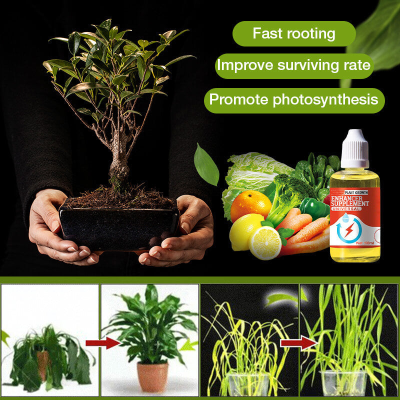 【🎁Mother's Day Gift】Plant Growth Promoters Supplements Energizers