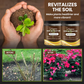 🔥 Soil Improvement Loosening Agent