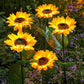 Sunflower Solar Garden Stake Led Lights