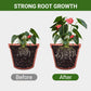 【🎁Mother's Day Gift】Special Bone Meal Organic Fertilizer - Promote The Growth of Flowers and Fruits