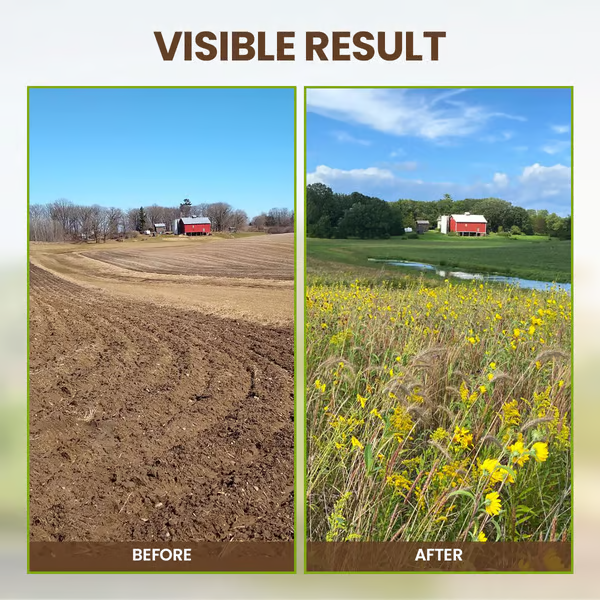🔥 Soil Improvement Loosening Agent