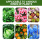 【🎁Mother's Day Gift】Special Bone Meal Organic Fertilizer - Promote The Growth of Flowers and Fruits