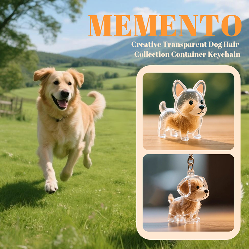 🏆 BUY 1 GET 1 FREE🐶My Pet keyring